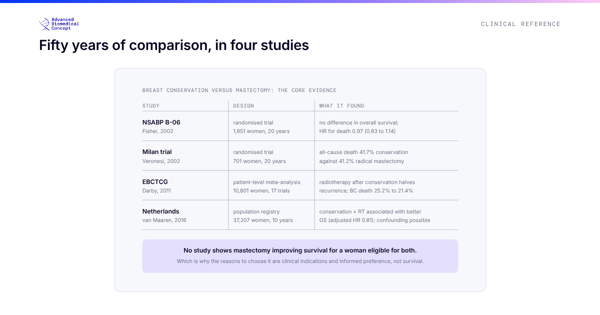 A four-row evidence table comparing breast-conserving surgery with mastectomy. Row one, NSABP B-06, a randomised trial of 1,851 women: no survival difference at twenty years, hazard ratio for death 0.97 for lumpectomy with radiotherapy against mastectomy. Row two, the Milan trial, randomised, 701 women: all-cause death 41.7 percent against 41.2 percent at twenty years. Row three, the EBCTCG meta-analysis of 10,801 women: radiotherapy after conservation halves recurrence and reduces breast cancer death. Row four, a Dutch registry of 37,207 women: conservation with radiotherapy associated with better ten-year overall survival, with confounding by severity possible. A closing line notes that no study shows mastectomy improving survival for a woman eligible for both.