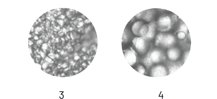 coleman fat purity