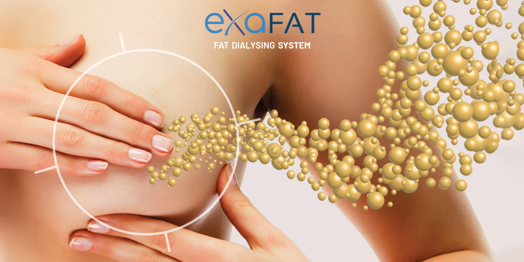 cover-exafat