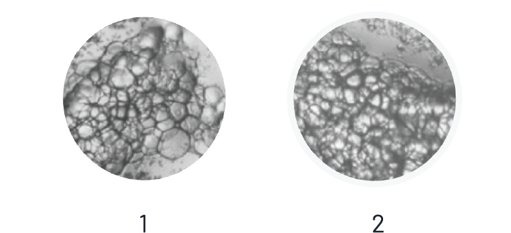 exafat fat purity