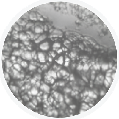 EXAFAT sample 2