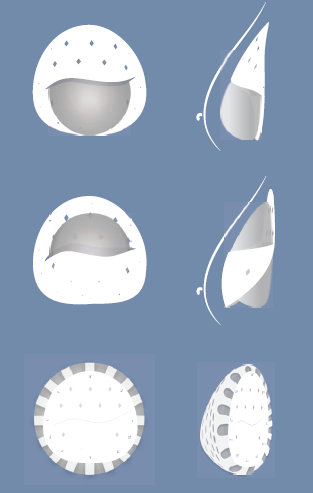 BioShield Pocket PRo