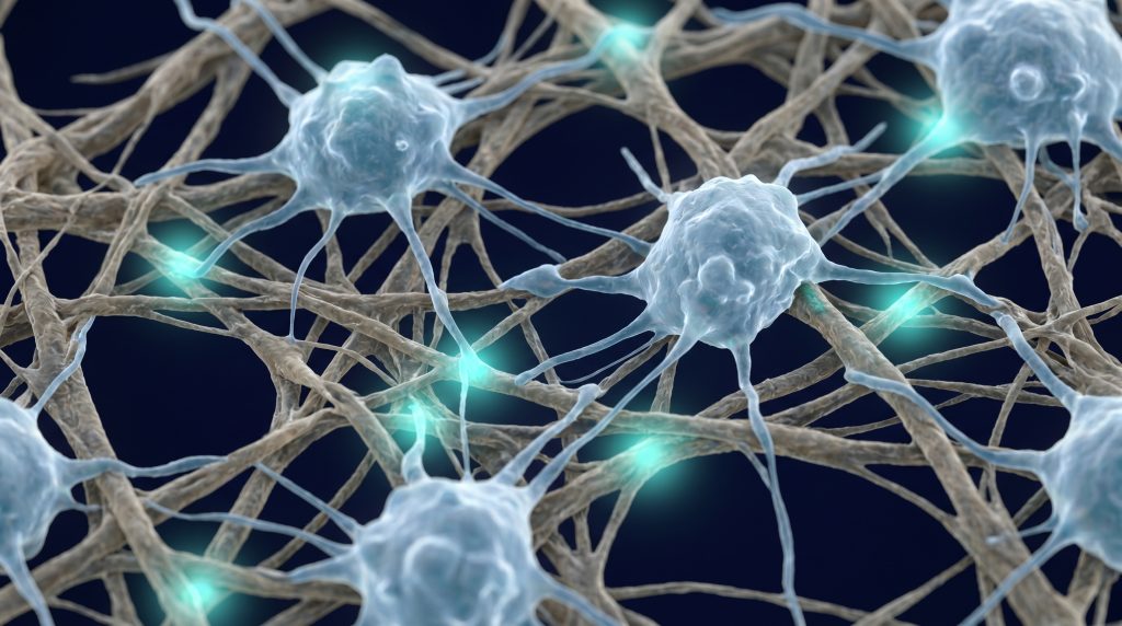 Exashape biomaterial membrane