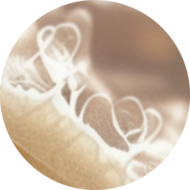 Fibrous layer